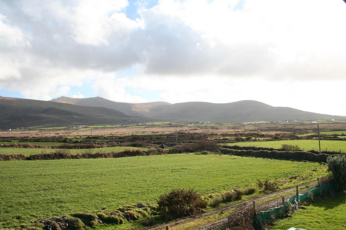 Coill An Rois B&B Ballydavid Bagian luar foto