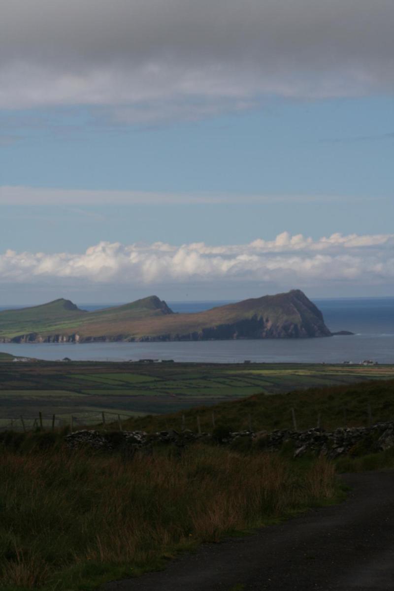 Coill An Rois B&B Ballydavid Bagian luar foto